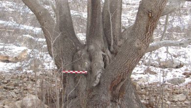 ثبت ملی آثار طبیعی