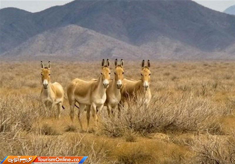 شاهرود ؛ قاره کوچک در ایران