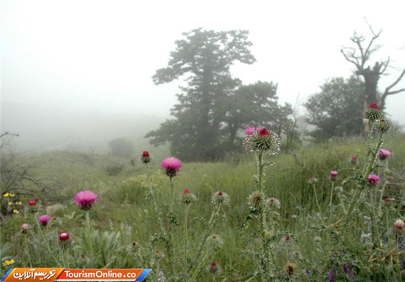 شاهرود ؛ قارهای کوچک در ایران