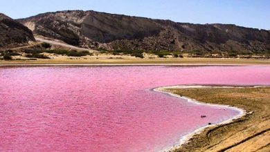 تالاب صورتی لیپار در چابهار