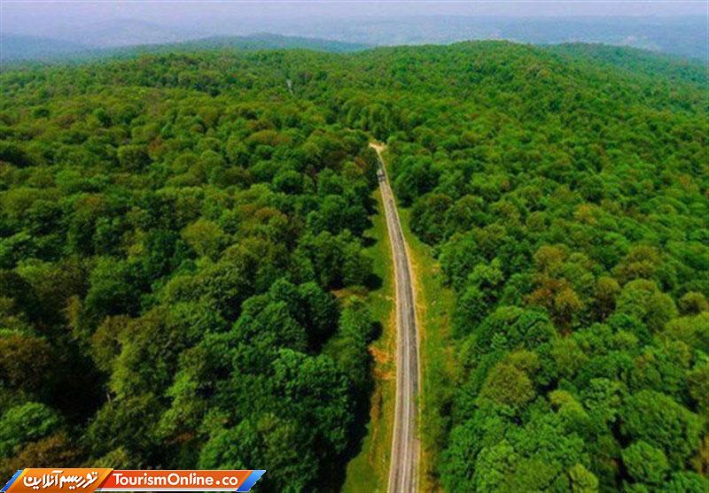 جنگل های هیرکانی