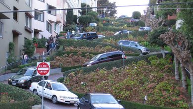 سان فرانسیسکو کالیفرنیا