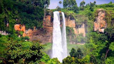 ابشار سی پی اوگاندا