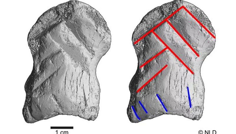 کشف آثار هنری