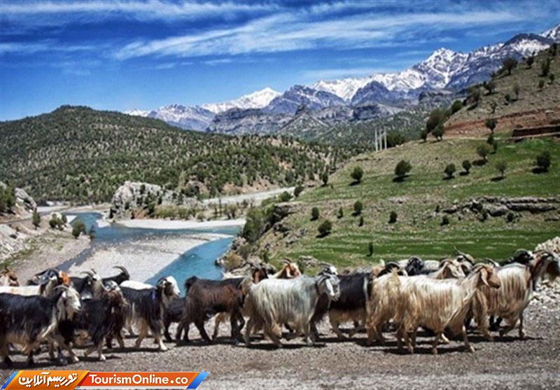 عشایری بوشهر
