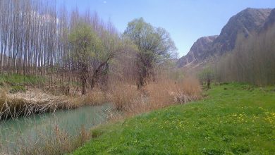 دمکره یاسوج دشتروم