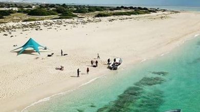 جزیره لاوان