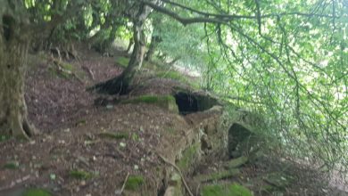 کشف تونل زیر زمینی گلسرک رشت