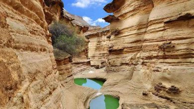 خراسان جنوبی