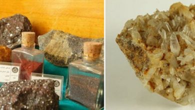 موزه زمین شناسی