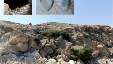 پارینه‌سنگی