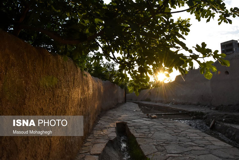 سمنان شهری در باغ