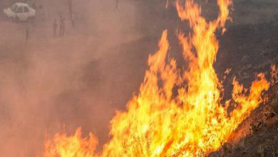 آتشسوزی منطقه گردشگری شبلیز