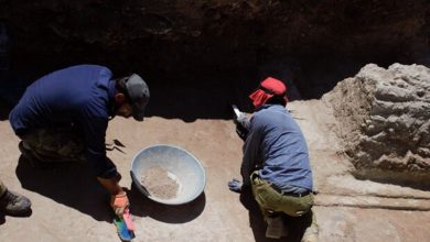 تدفین‌های انسانی