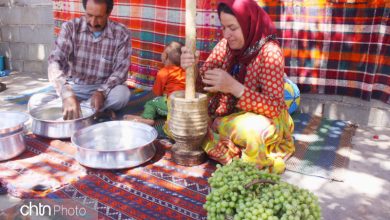 مهارت آبغوره گیری دشمن‌زیاری فارس