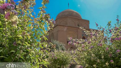 بقعه بی بی دختران شیراز