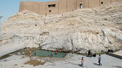 حفاظت از چشمه علی