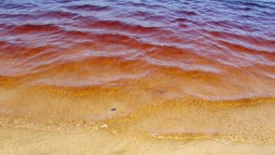 دریاچه نوشابه برزیل