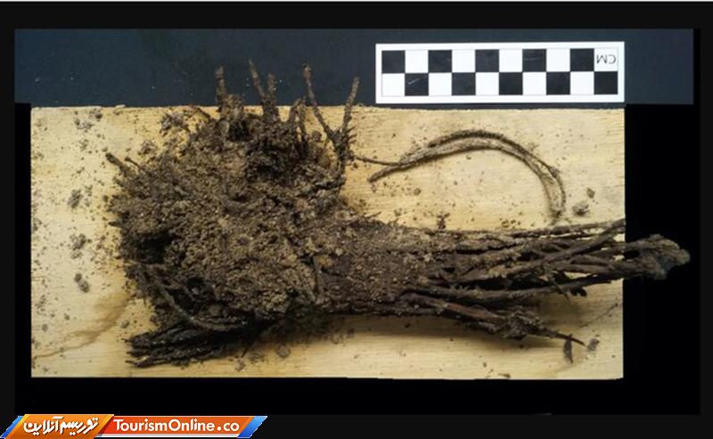 باستانشناسان