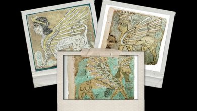 گنجینه غارت شده