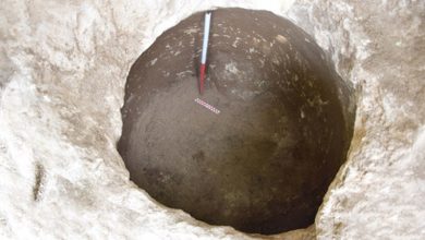 کشف گودال غلات