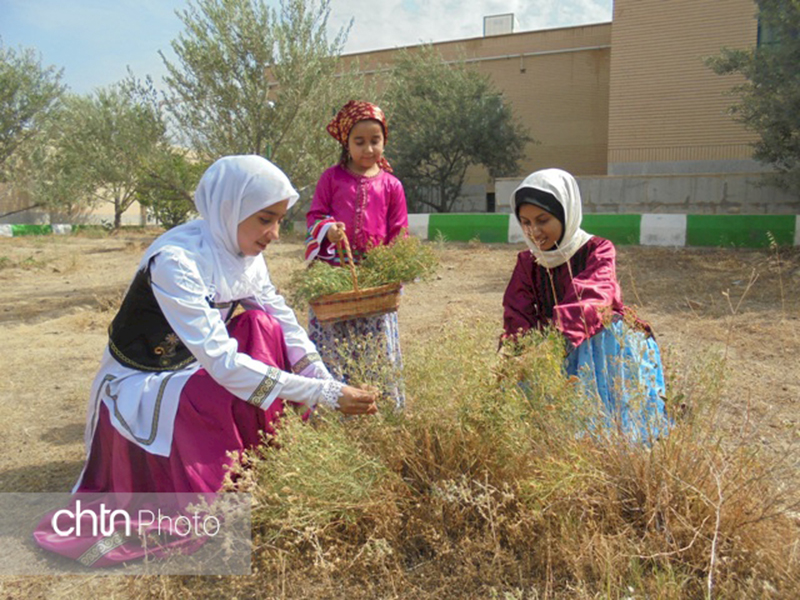 لباس محلی طارم