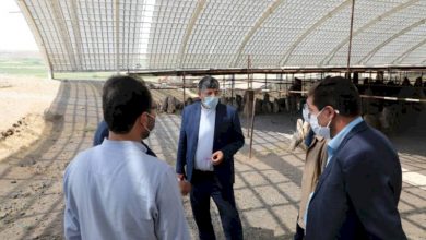 محوطه باستانی شهریری