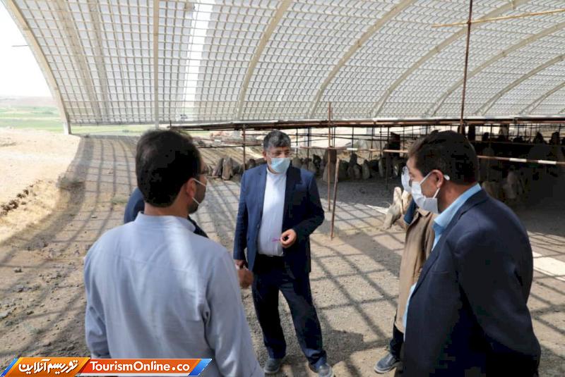 محوطه باستانی شهریری