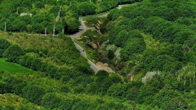 نهاوند قزوین