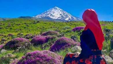 پارک ملی لار مازندران