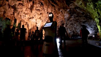 ربات گردشگری یونان