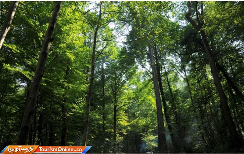 روستای جعفرآباد گرگان