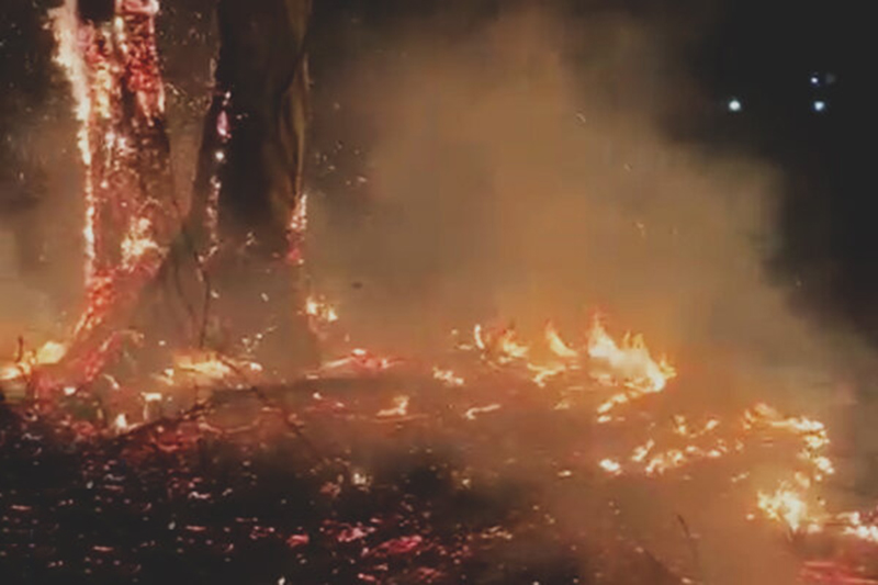 آتشسوزی تنگ هایقر