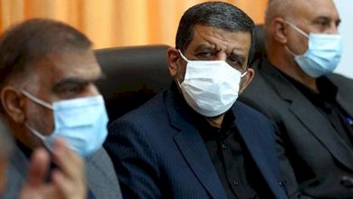 مهندس ضرغامی در مجلس