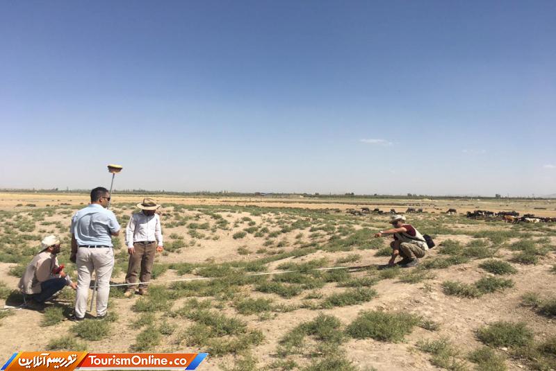 تپه دالاما نقده