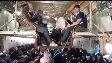 زائران اربعین