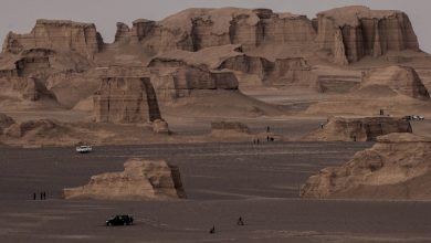 گردشگری کرمان