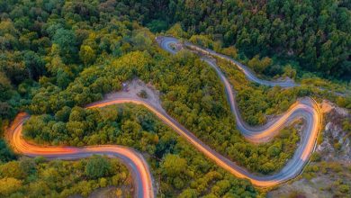 جاده جنگلی شاهرود گرگان