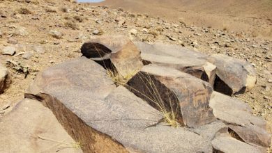 کشف مجموعه سنگ‌نگاره در محلات