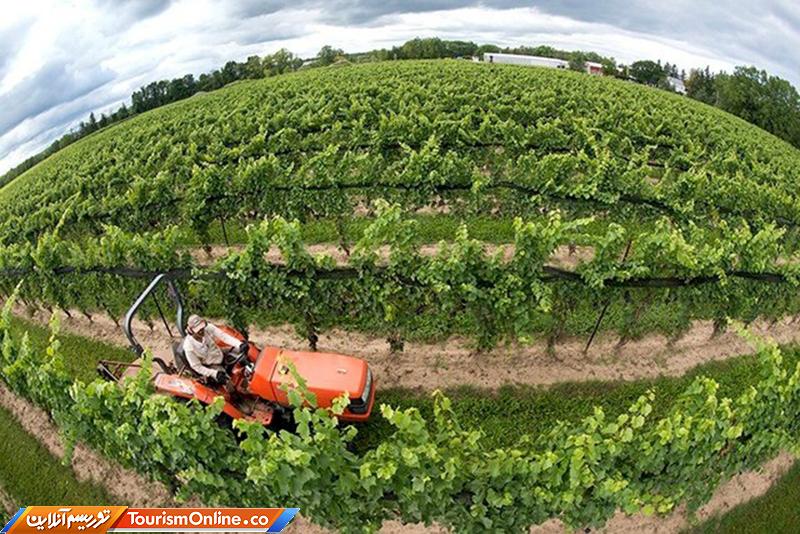 گردشگری کشاورزی ملایر