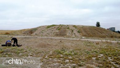 پیگیری قضایی زنجان