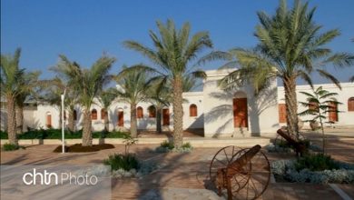 موزه رئیسعلی دلواری