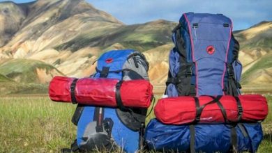 تشدید برخورد با تورهای غیرمجاز