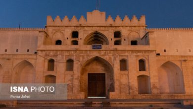 ارزیابان یونسکو برازجان