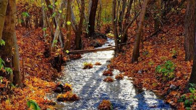 گلمکان شهرستان چناران