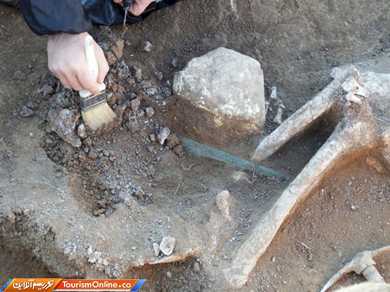 فرهنگ دالما