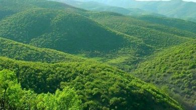 ظرح گردشگری