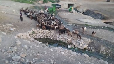 گردشگری لرستان