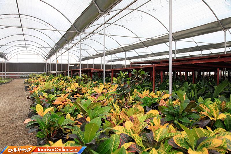 گردشگری کشاورزی