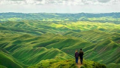 گردشگری خلاق